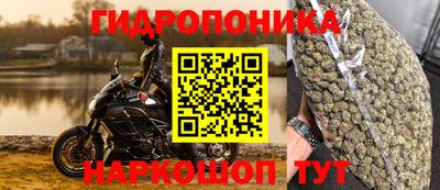 трава Можга