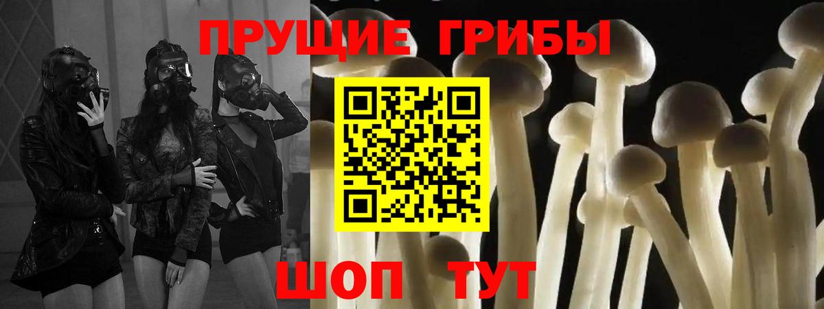 Псилоцибиновые грибы MAGIC MUSHROOMS  Вход с VPN  Галлюциногенные грибы ЛСД  Шадринск 